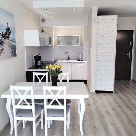 Apartament Kasztanowy Владиславово Екстер'єр фото